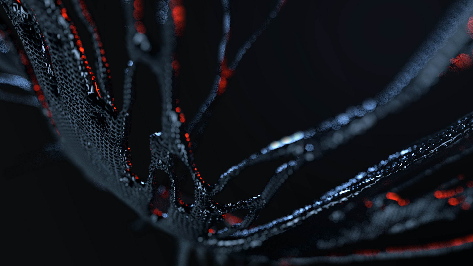 cellular_01B