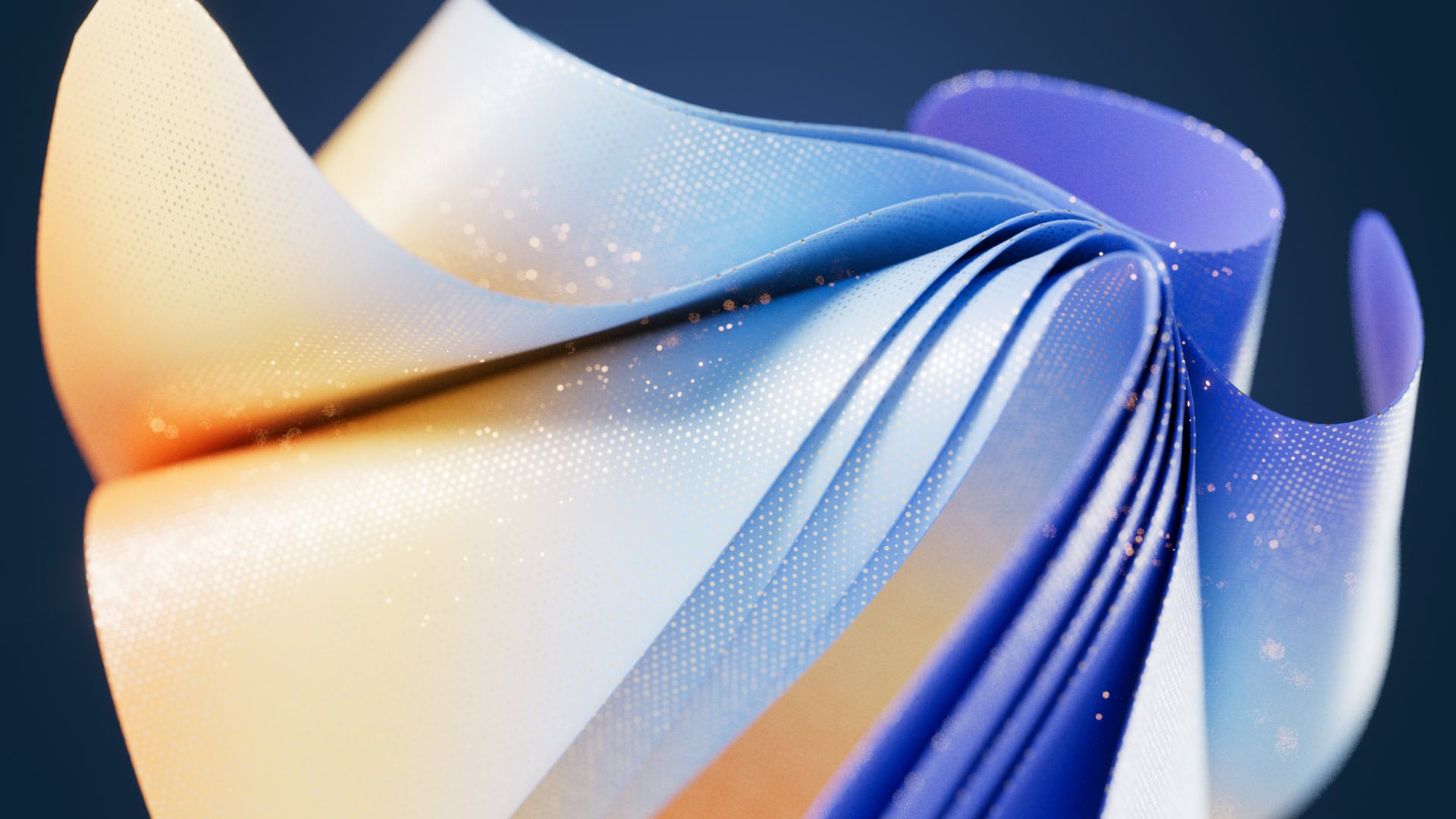 MS_Display_08